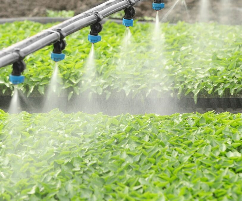 Le fonctionnement des systèmes d&rsquo;irrigation, de la station de pompage à la parcelle